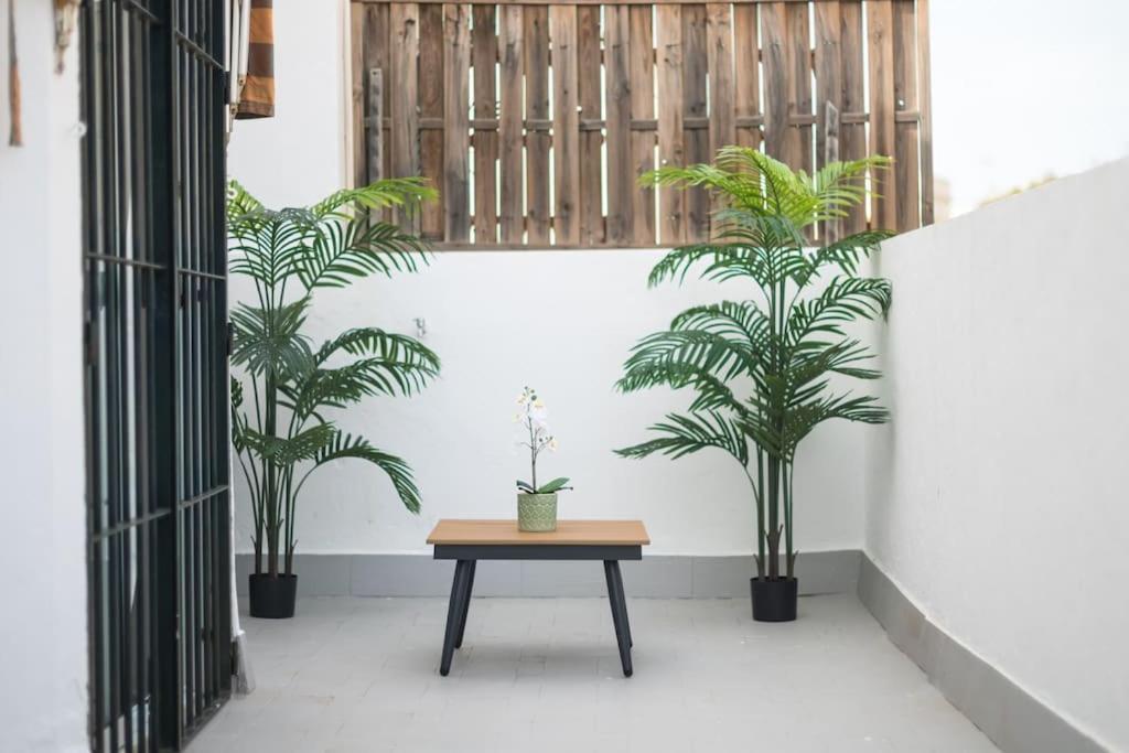 סביליה Atico Ispal Con Terraza En Centro מראה חיצוני תמונה